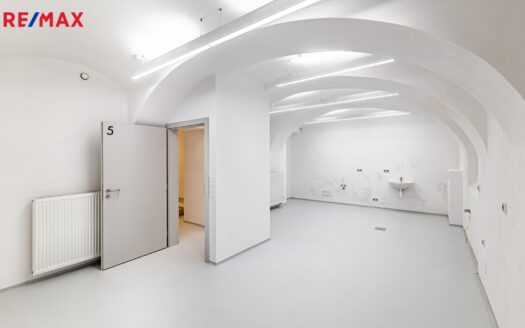 Pronájem Komerční Ostatní komerční prostory Praha Lípová 42 m²