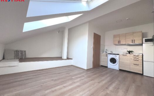 Pronájem Byty 1+kk Praha Sokolská 24 m²