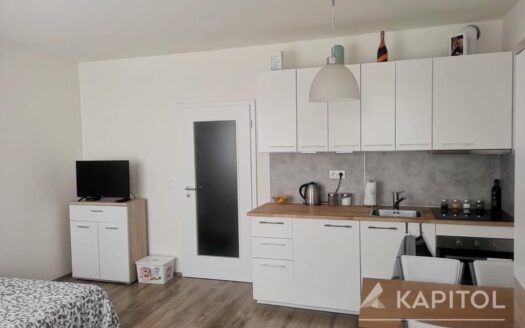 Pronájem Byty 1+kk Praha Škrábkových 33 m²