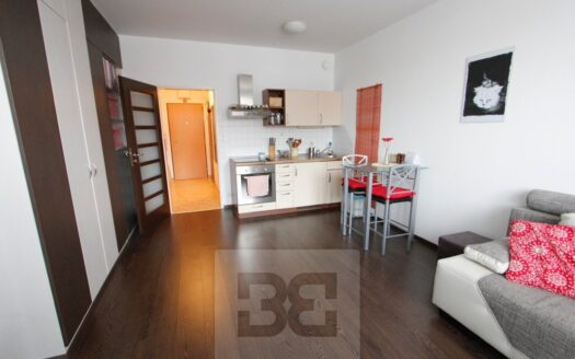 Pronájem Byty 1+kk Praha Podkovářská 31 m²