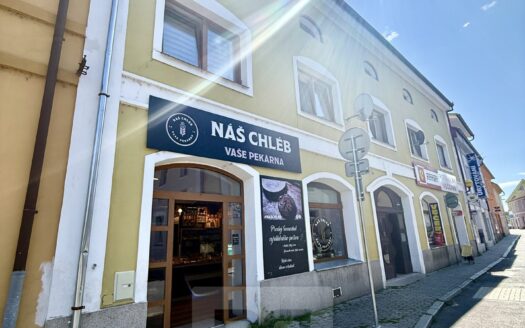 Prodej Domy Činžovní domy Praha 657 m²