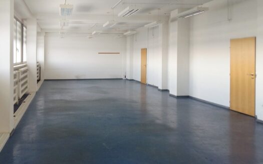 Pronájem Komerční Kanceláře Praha Ringhofferova 384 m²