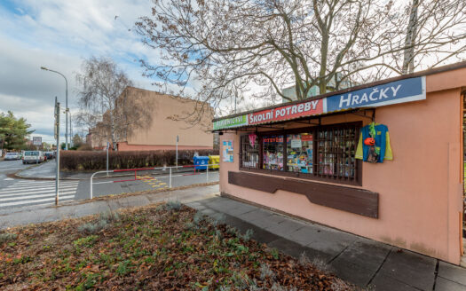 Pronájem Komerční Obchody Praha Ratibořická 20 m²