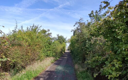 Prodej Pozemky Stavební parcely Praha