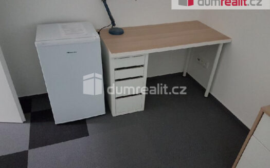 Pronájem Byty 1+kk Praha Pilská 18 m²