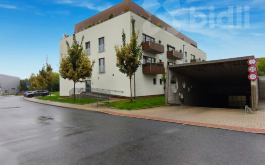 Prodej Byty 1+kk Praha Nepomuckých 45 m²