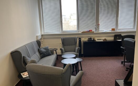 Pronájem Komerční Kanceláře Praha Ringhofferova 328 m²