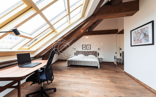 Pronájem bytu 5+kk, 335 m² – Praha, Nové Město, ulice Truhlářská