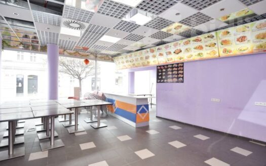 Pronájem Komerční Restaurace Praha Lukášova 118 m²