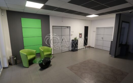 Pronájem Komerční Kanceláře Praha Jana Růžičky 13 m²