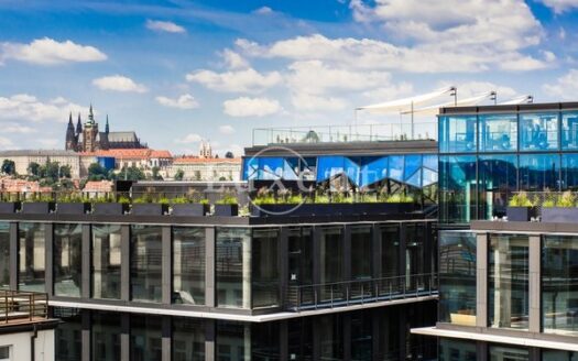 Pronájem Komerční Kanceláře Praha Spálená 511 m²