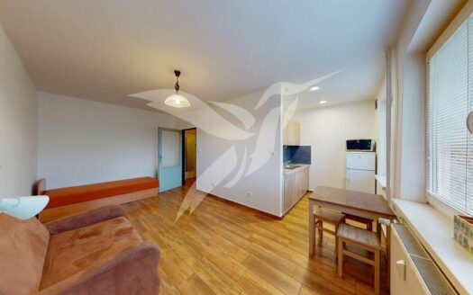 Pronájem Byty 1+1 Praha Svojšovická 27 m²