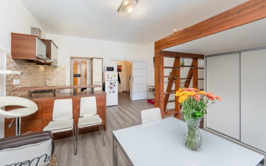 Prodej Byty 1+kk Praha Kotlaska 35 m²