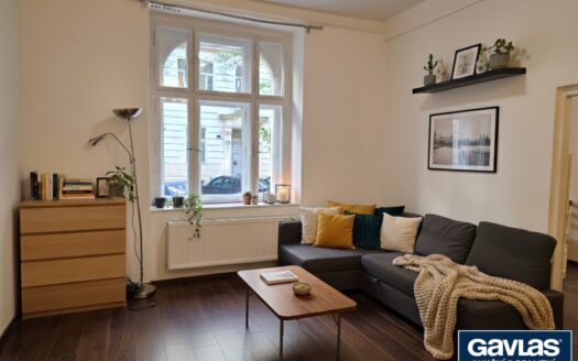Pronajem Byty 1+1 Praha Mánesova 43 m²