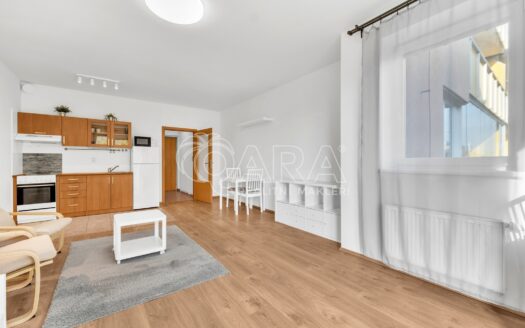 Pronájem Byty 1+kk Praha Sicherova 38 m²