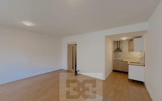 Pronájem Byty 1+kk Praha Rýnská 38 m²
