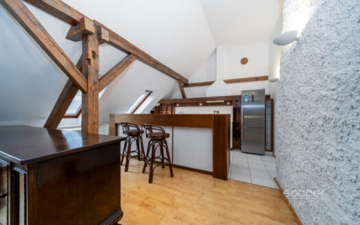 Pronájem bytu 4+kk, 170 m² – Praha, Holešovice, ulice Dukelských hrdinů