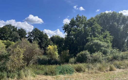 Prodej Pozemky Louky Praha