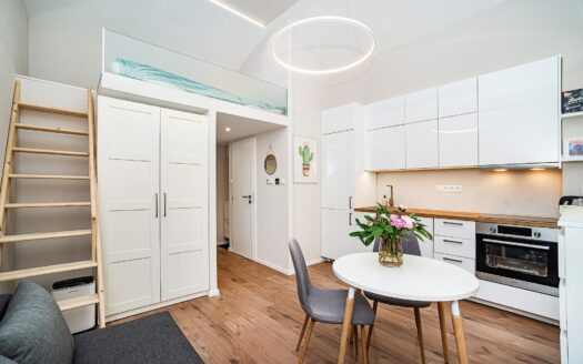 Prodej Byty 1+kk Praha Přibyslavská 26 m²