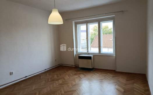 Pronájem Byty 1+kk Praha Novgorodská 30 m²
