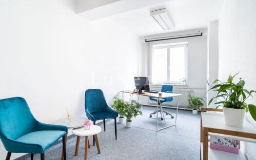 Pronájem Komerční Kanceláře Praha Břehová 22 m²