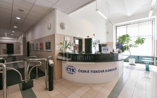 Pronájem Komerční Kanceláře Praha Opletalova 24 m²