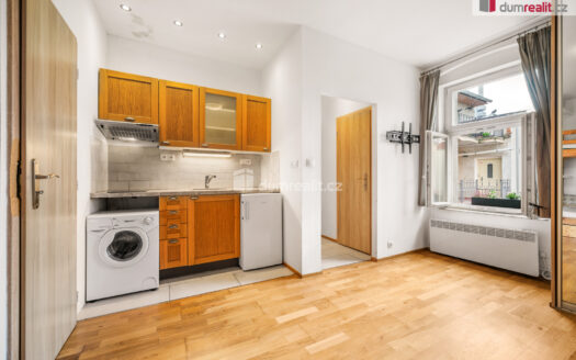 Prodej Byty 1+kk Praha Milíčova 19 m²