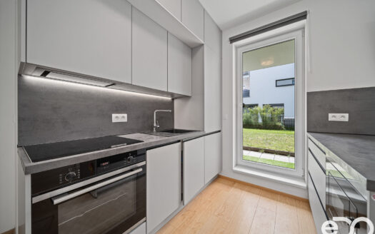 Prodej Byty 2+kk Praha Mezilehlá 53 m²