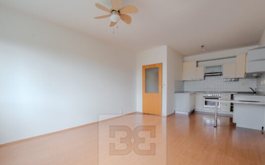 Pronajem bytu 2+kk Praha Záběhlická 54 m²