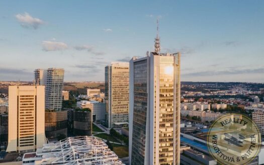 Pronájem Komerční Kanceláře Praha Na strži 266 m²