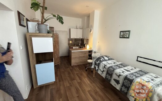 Pronájem Komerční Ostatní komerční prostory Praha Nučická 27 m²