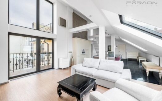 Prodej Byty 3+kk Praha Křemencova 162 m²