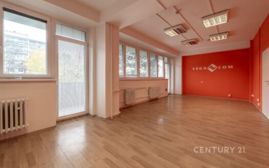 Pronájem Komerční Kanceláře Praha Teplická 35 m²