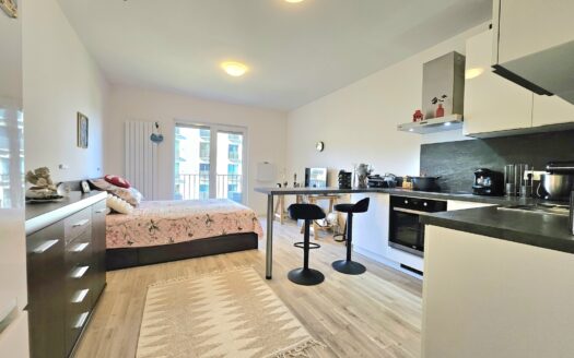 Prodej Byty 1+kk Praha Novovysočanská 33 m²