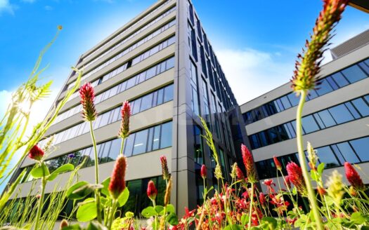 Pronájem Komerční Kanceláře Praha Plzeňská 500 m²