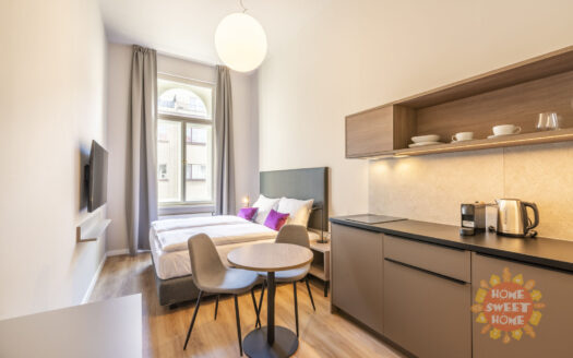 Pronájem bytu 1+kk, 24 m² – Praha, Nové Město, ulice Krakovská