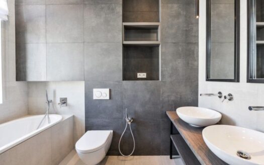 Pronájem bytu 4+kk, 163 m² – Praha, Vinohrady, ulice Laubova