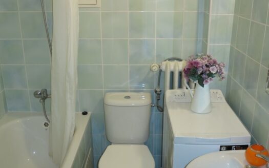 Prodej bytu 1+kk, 23 m² – Praha, Karlín, ulice Sokolovská