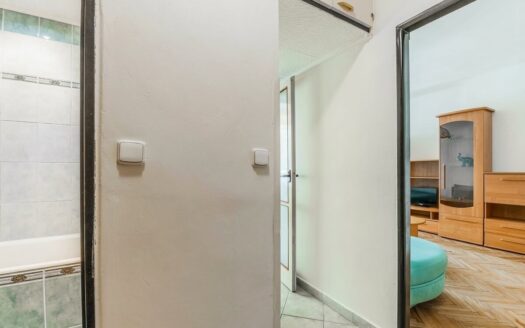 Prodej bytu 1+1, 44 m² – Praha, Vršovice, ulice Gruzínská