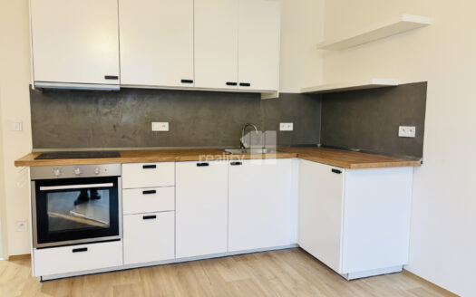 Pronájem bytu 3+kk, 75 m² – Praha, Žižkov, ulice Biskupcova