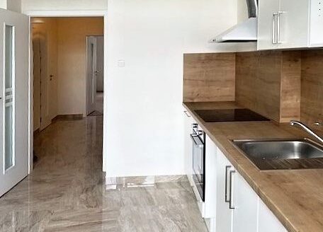 Pronájem bytu 2+1, 66 m² – Praha, Holešovice, ulice Argentinská