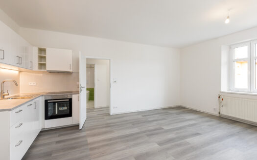 Prodej bytu 1+1, 46 m² – Praha, Vysočany, ulice U vysočanského pivovaru