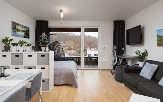 Pronájem bytu 1+kk, 44 m² – Praha, Braník, ulice Skálové