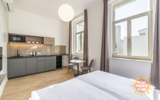 Pronájem bytu 1+kk, 24 m² – Praha, Nové Město, ulice Opletalova