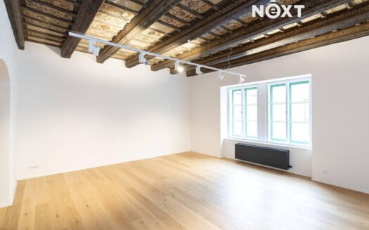 Pronájem bytu 2+1, 94 m² – Praha, Malá Strana, ulice Vlašská