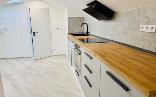 Prodej bytu 1+1, 50 m² – Praha, Michle, ulice Podle Kačerova