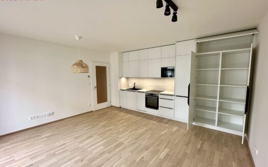 Pronájem bytu 1+kk, 39 m² – Praha, Hodkovičky, ulice Šenácká