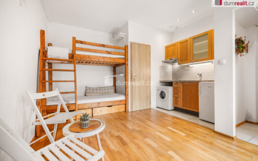 Prodej bytu 1+kk, 19 m² – Praha, Žižkov, ulice Milíčova