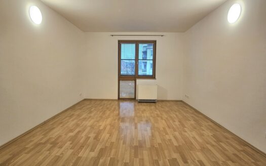 Pronájem bytu 1+kk, 41 m² – Praha, Břevnov, ulice 8. listopadu