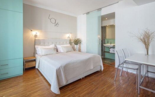 Pronájem bytu 1+kk, 30 m² – Praha, Košíře, ulice Holečkova